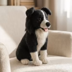 Benji il Border Collie 2